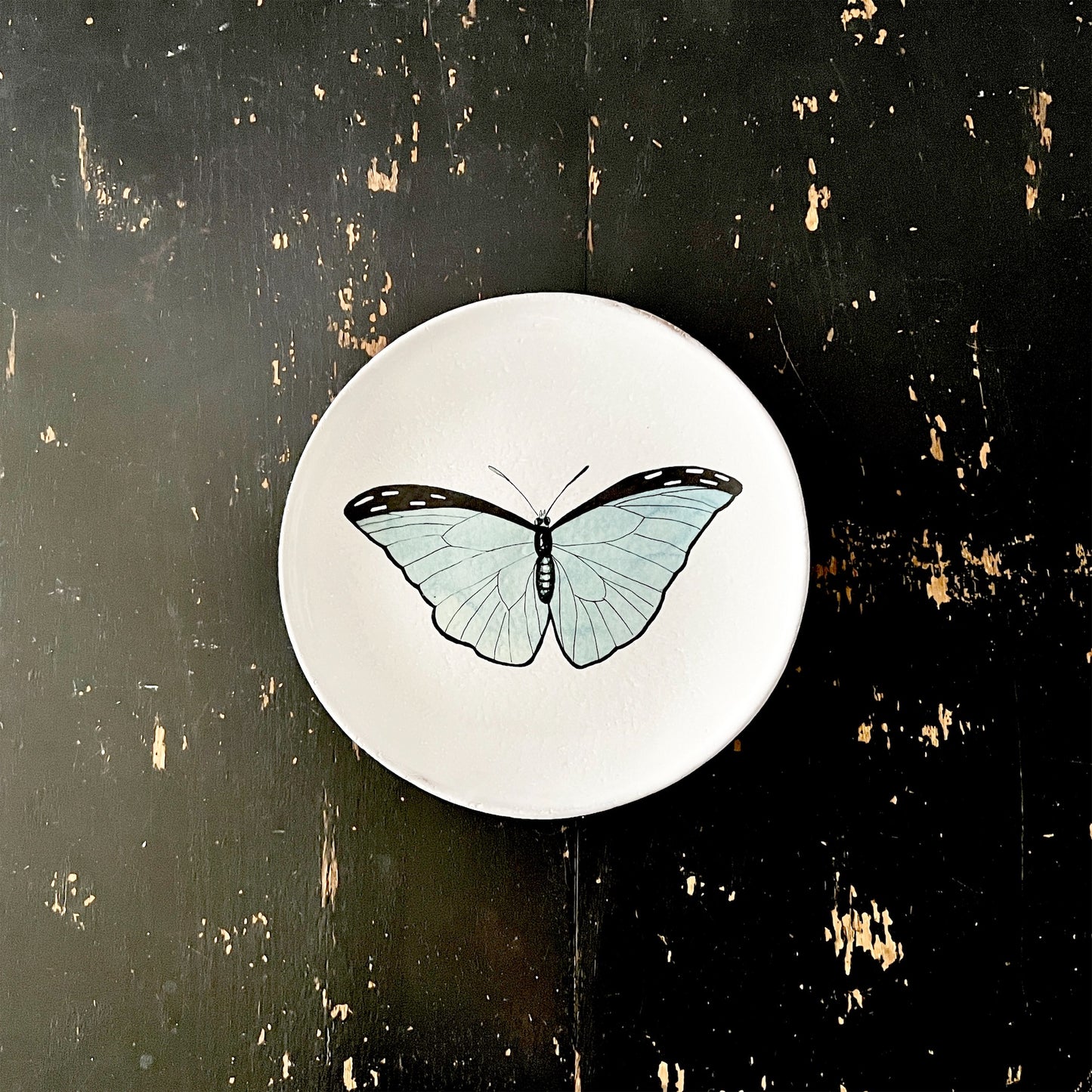 【Astier de Villatte】Blue Butterfly プレート
