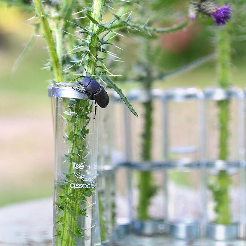 【Tse & Tse associees】四月の花器(S)LITTLE APRIL VASE