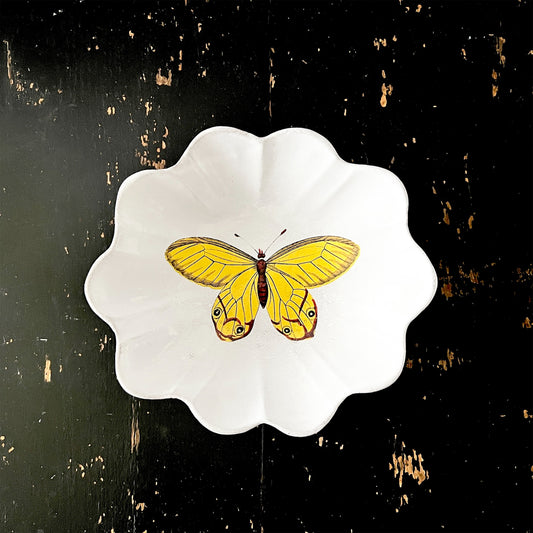 【Astier de Villatte】Yellow Butterfly プレート