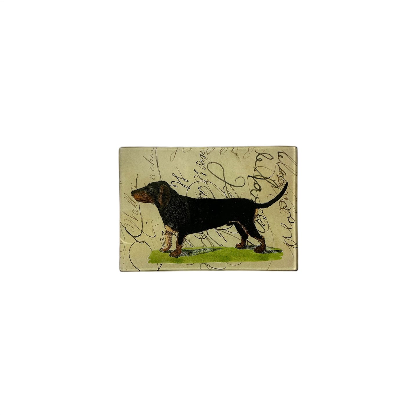 【JOHN DERIAN】デコパージュプレート Dachshund w/ Script