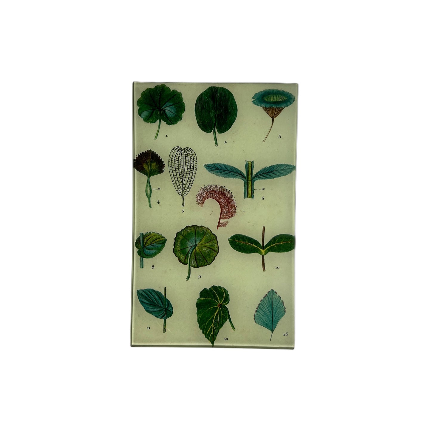 【JOHN DERIAN】デコパージュプレート Feuilles (Leaves)