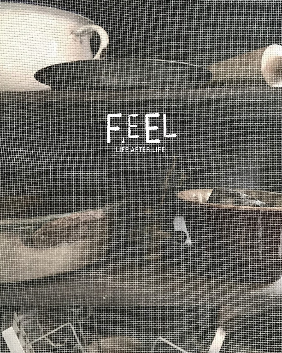 “共感”から生まれたスペインのライフスタイルブランド「FEEL」【GINZA】