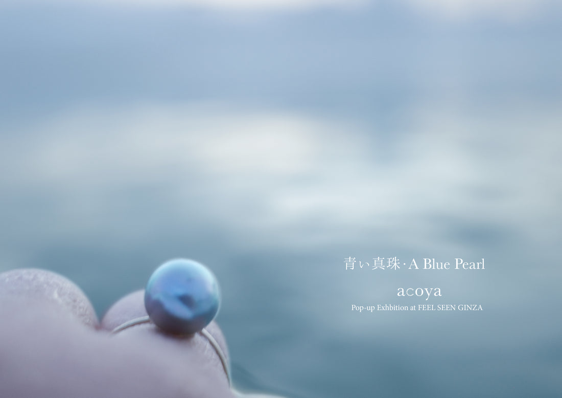 【GINZA】「青い真珠」acoya