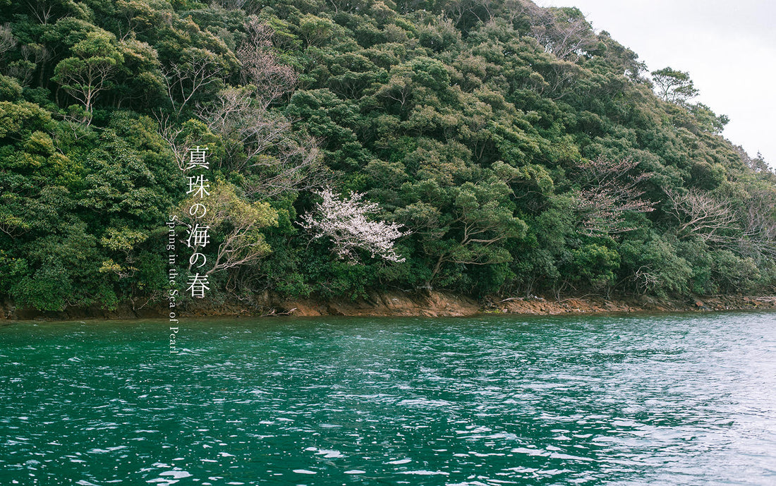 【GINZA】Acoya Pop-Up:  真珠の海の春 | Spring in the Sea of Pearl