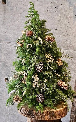 【GINZA】 11月24日(月)　『クリスマスツリー』ワークショップのお知らせ