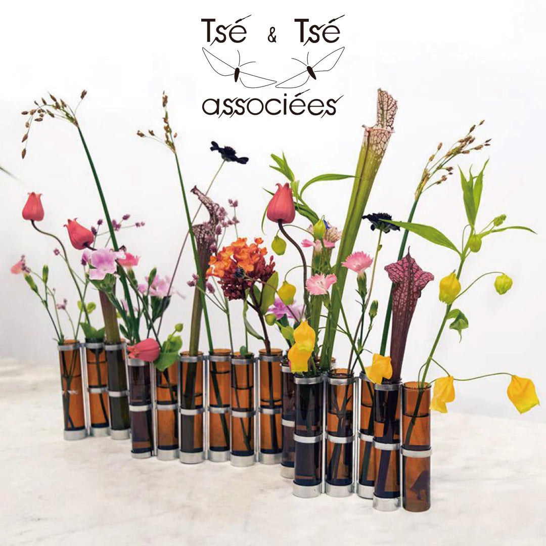 Tse & Tse associees価格改定のお知らせ