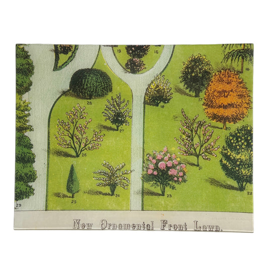 【JOHN DERIAN】デコパージュプレート ORNAMENTAL TREES (P 60)