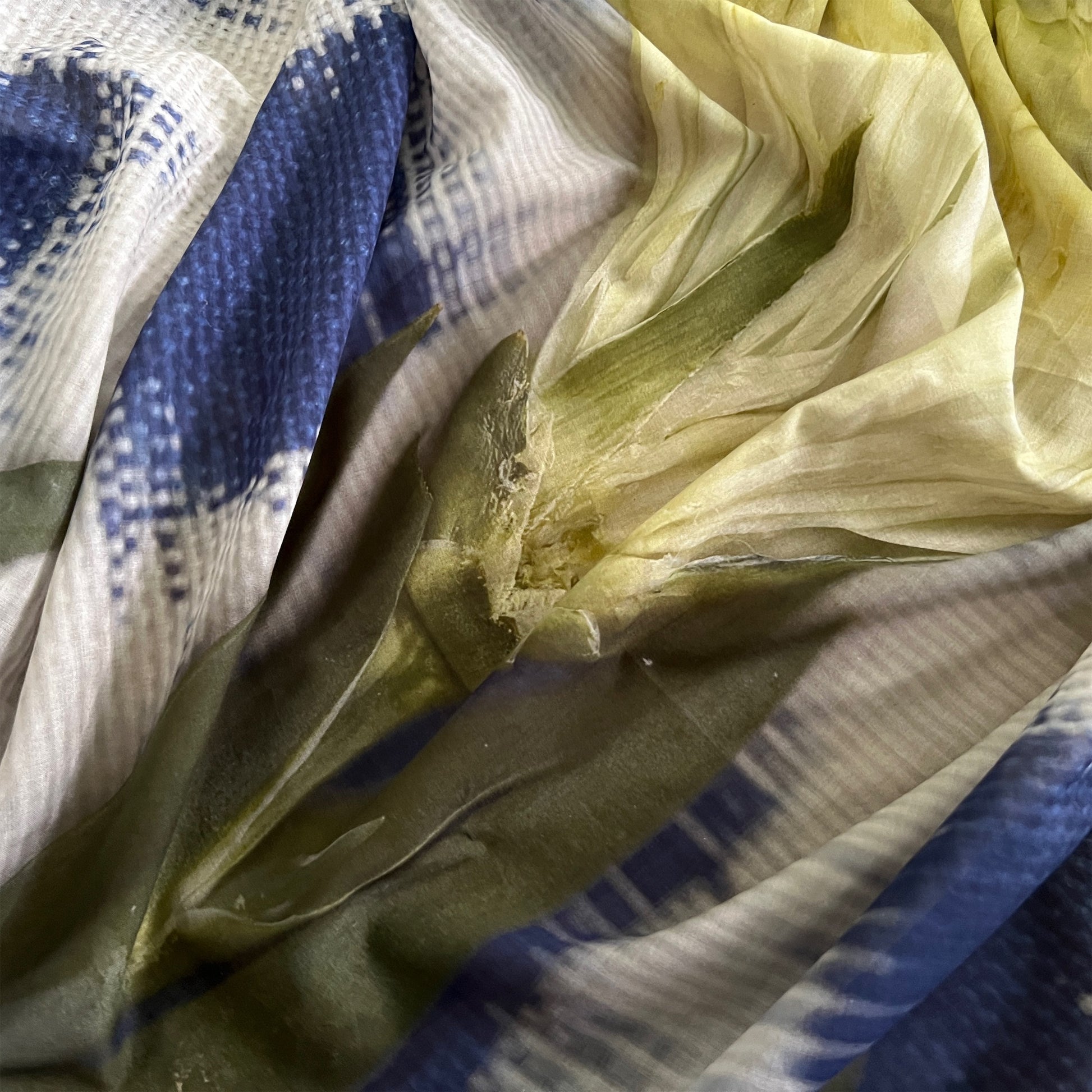 【colomba ledddi】Curtain_Cotton Voile_Ikat Fiore Giallo