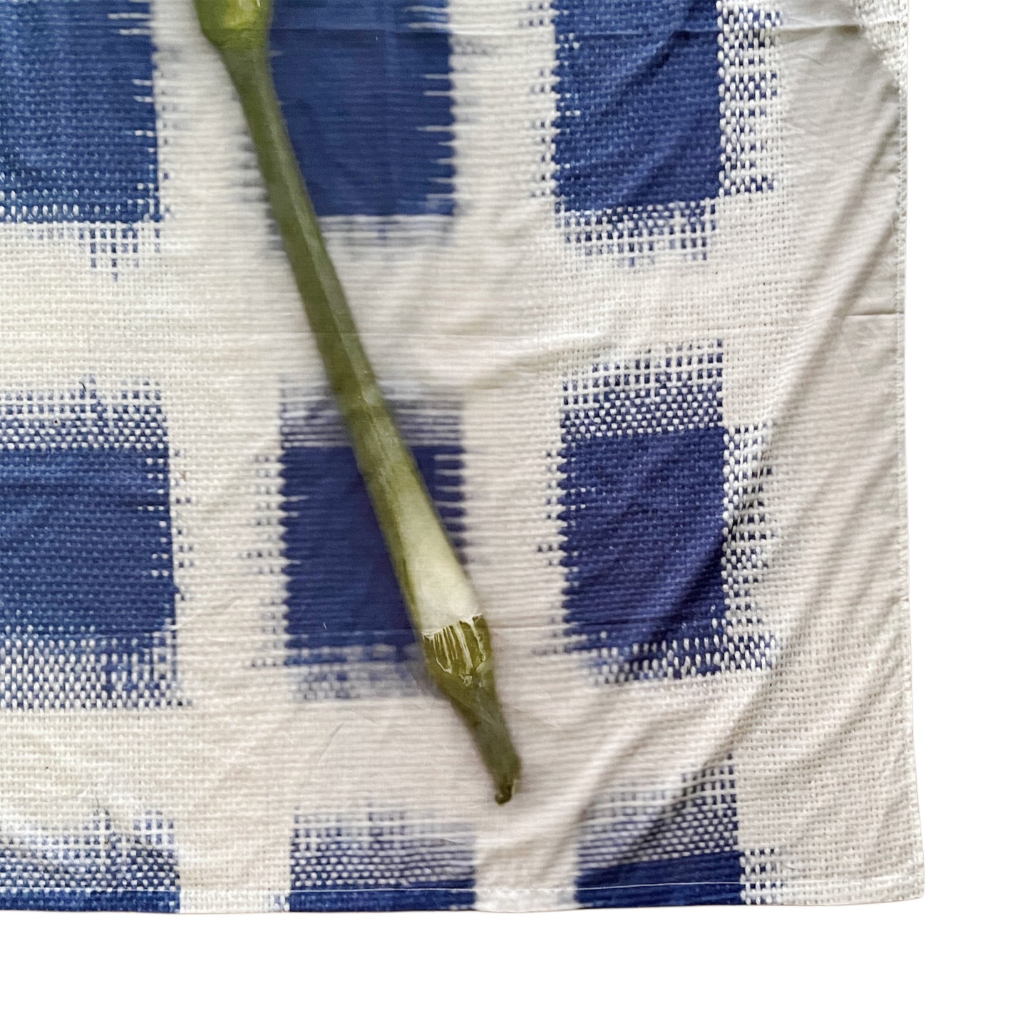 【colomba ledddi】Curtain_Cotton Voile_Ikat Fiore Giallo