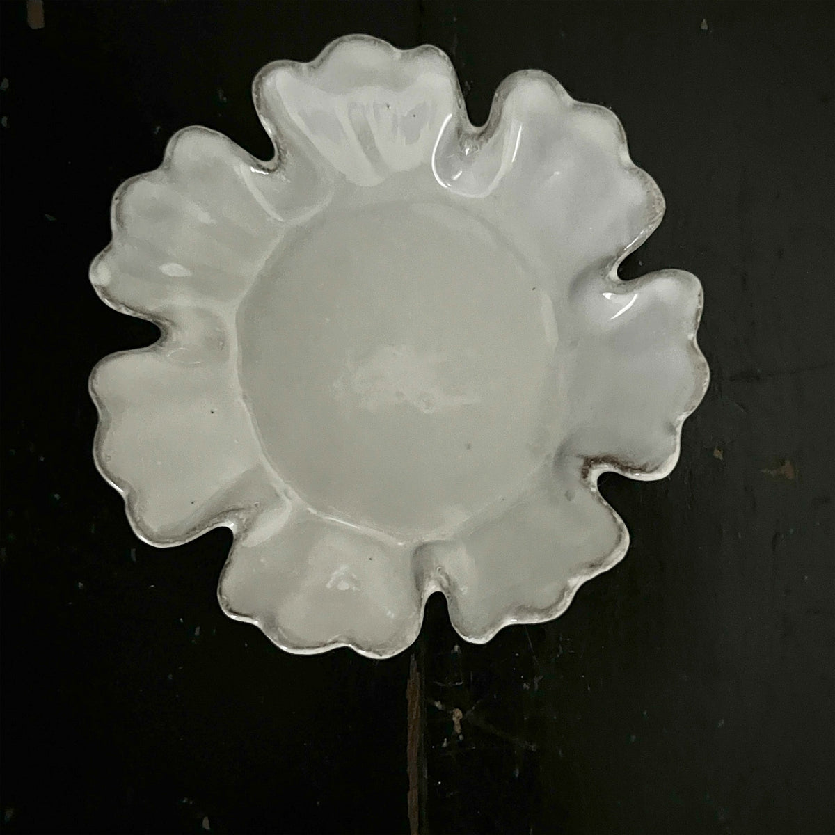 【Astier de Villatte】Chou Dish with Seven Petals