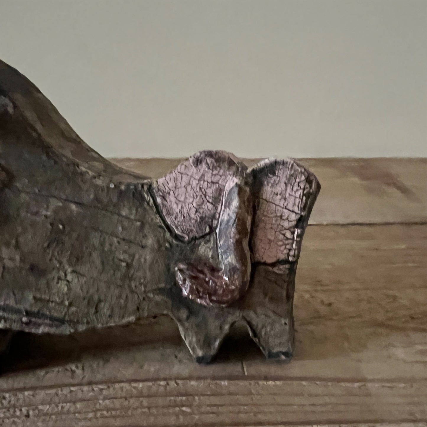 【三浦宏基】動物  18