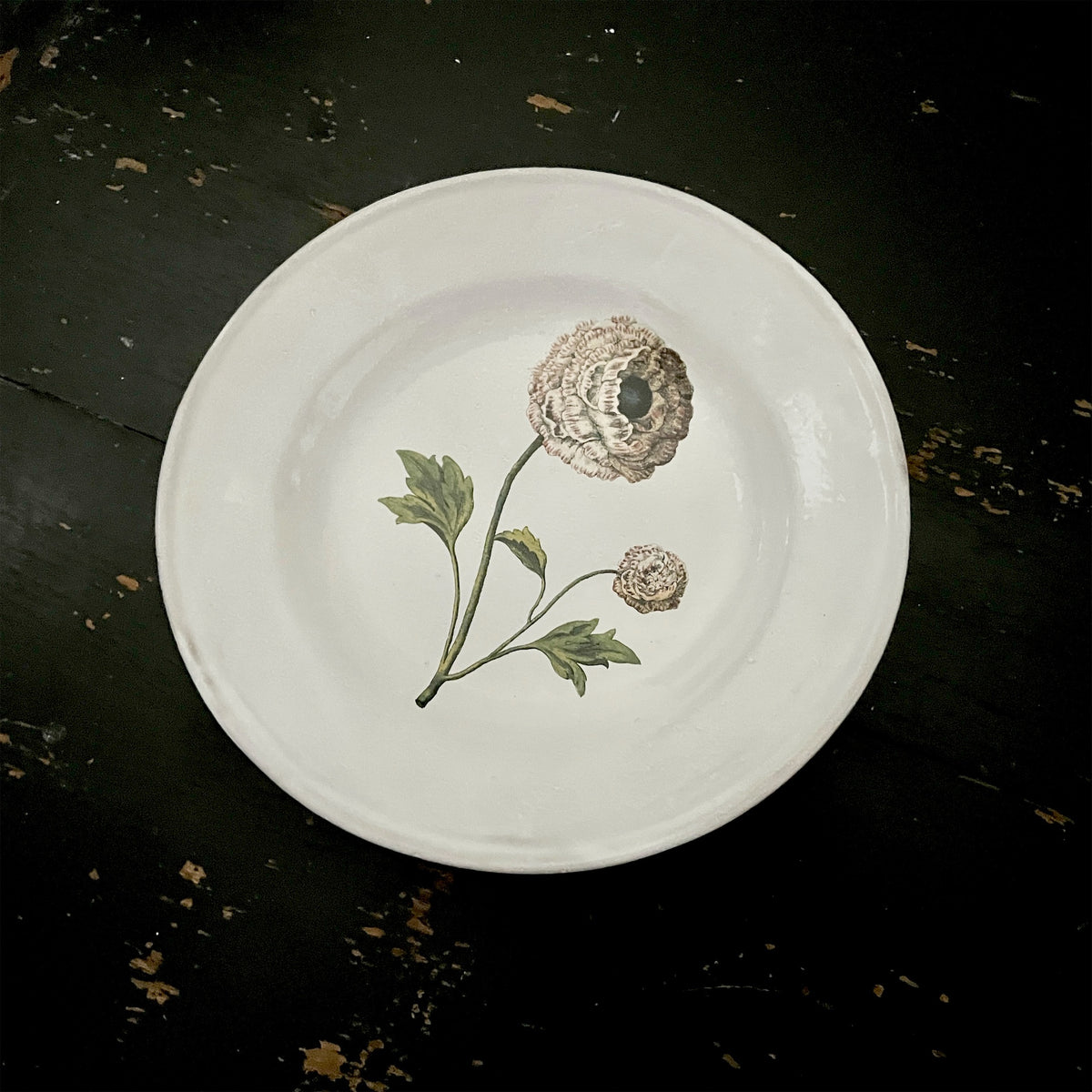 【Astier de Villatte】Indian King Ranculus Soup Plate