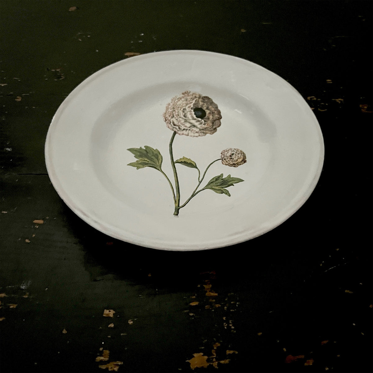 【Astier de Villatte】Indian King Ranculus Soup Plate