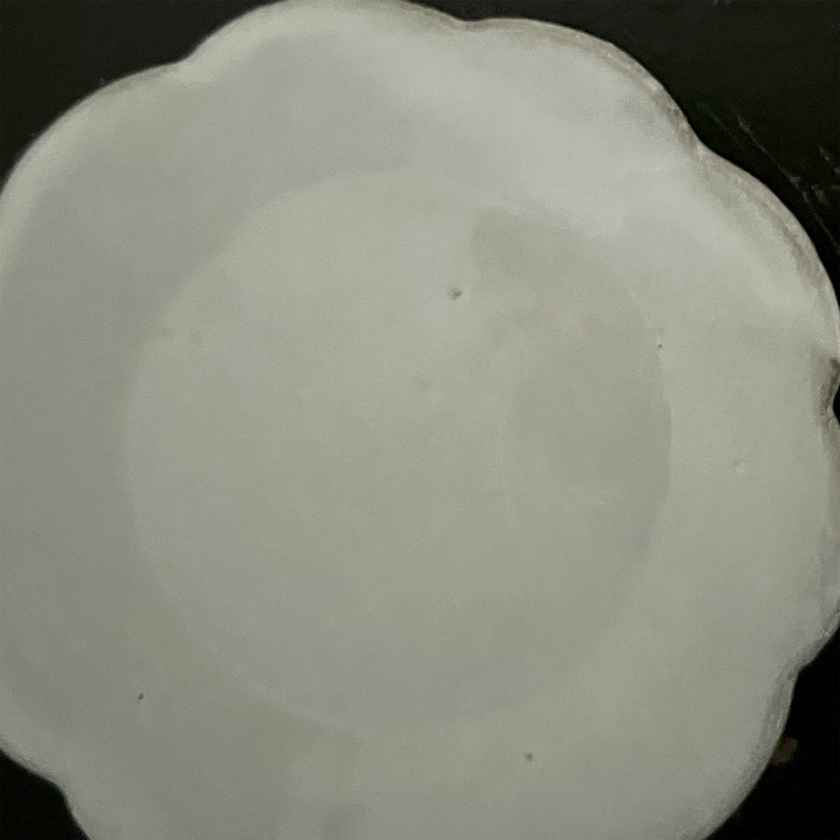 【Astier de Villatte】Small Daisy Dish