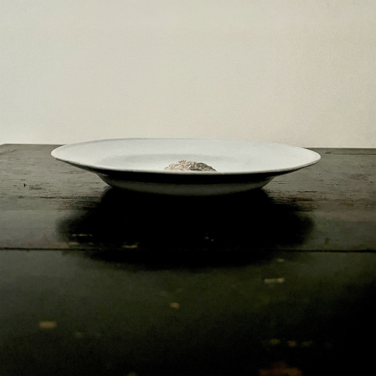 【Astier de Villatte】Indian King Ranculus Soup Plate