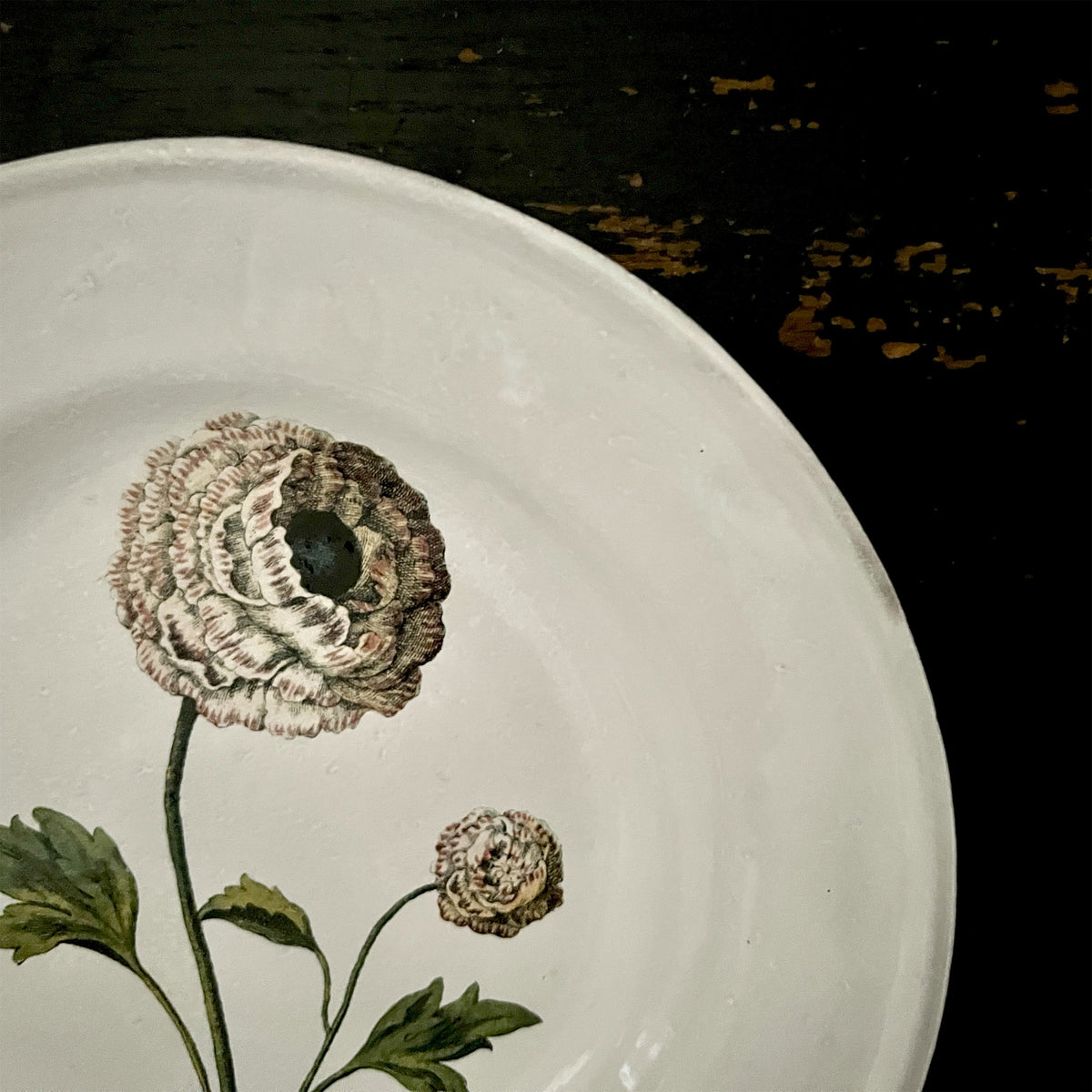 【Astier de Villatte】Indian King Ranculus Soup Plate
