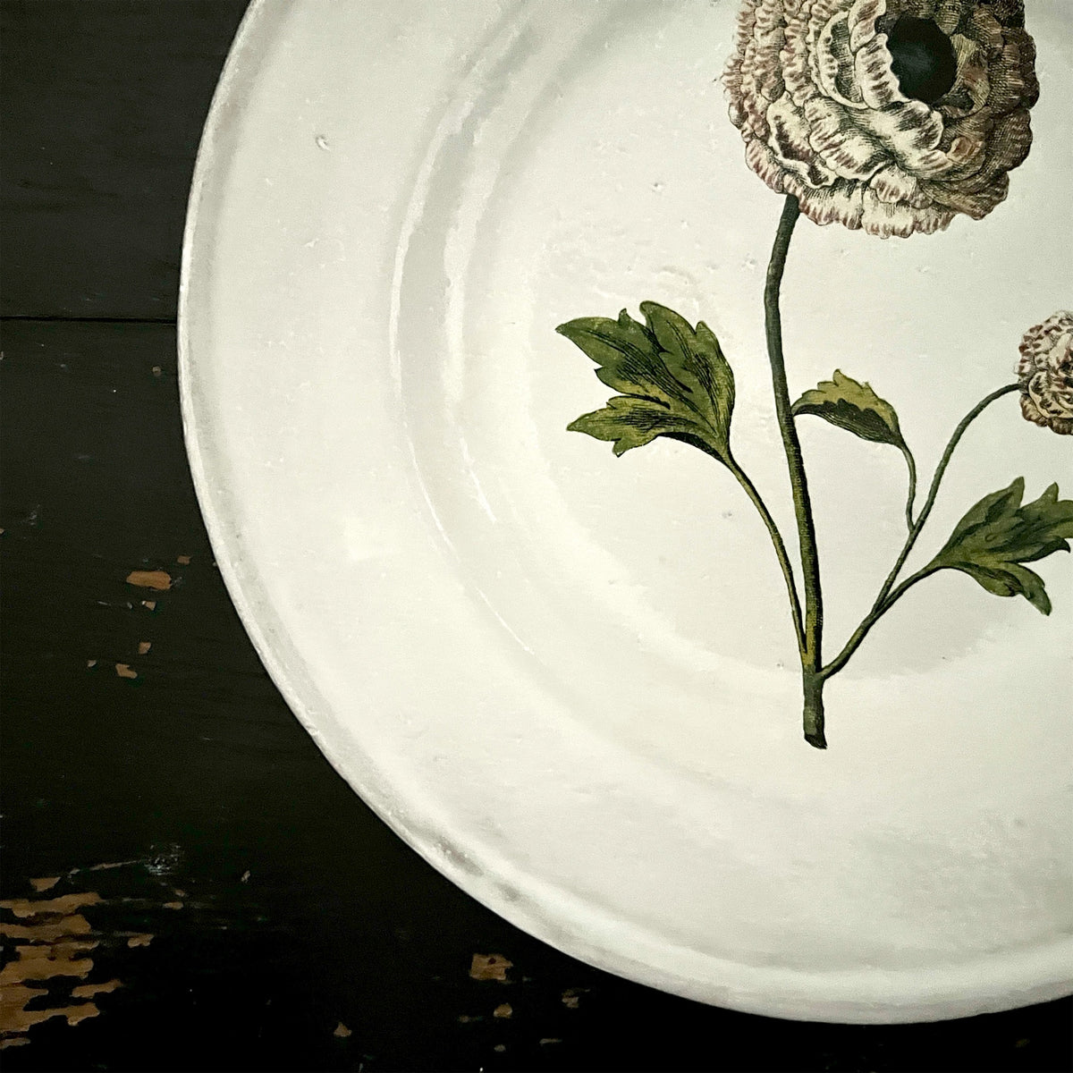 【Astier de Villatte】Indian King Ranculus Soup Plate
