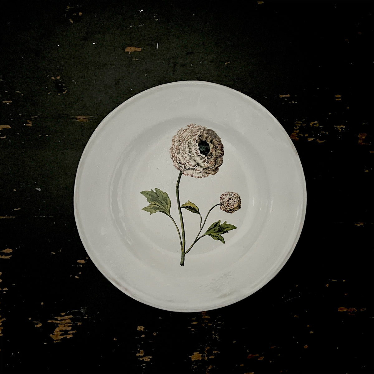 【Astier de Villatte】Indian King Ranculus Soup Plate