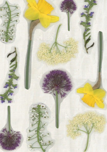 【Colomba Leddi】DRESS_MUSLIN_wildflower collage