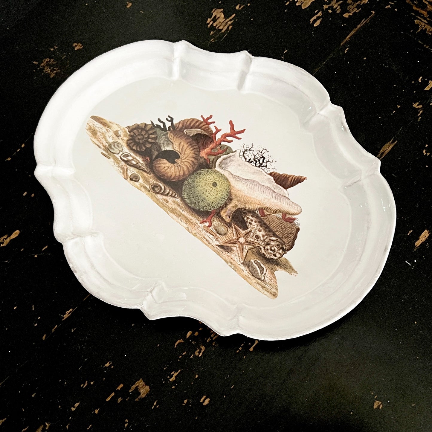 【Astier de Villatte】Shells 1754 Platter