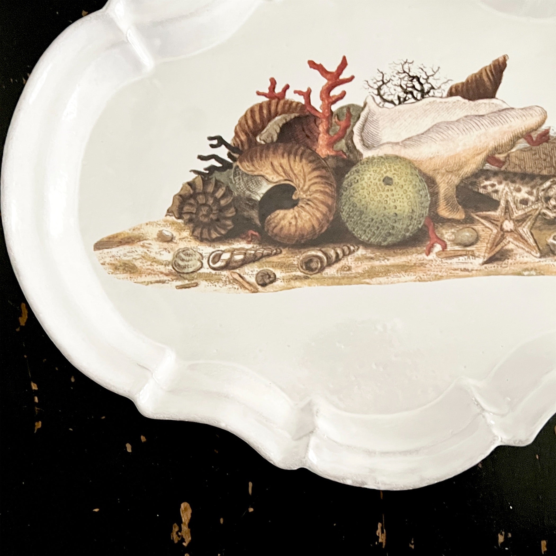 Astier de Villatte】Shells 1754 Platter | フィールシーン / FEEL SEEN – FEELSEEN