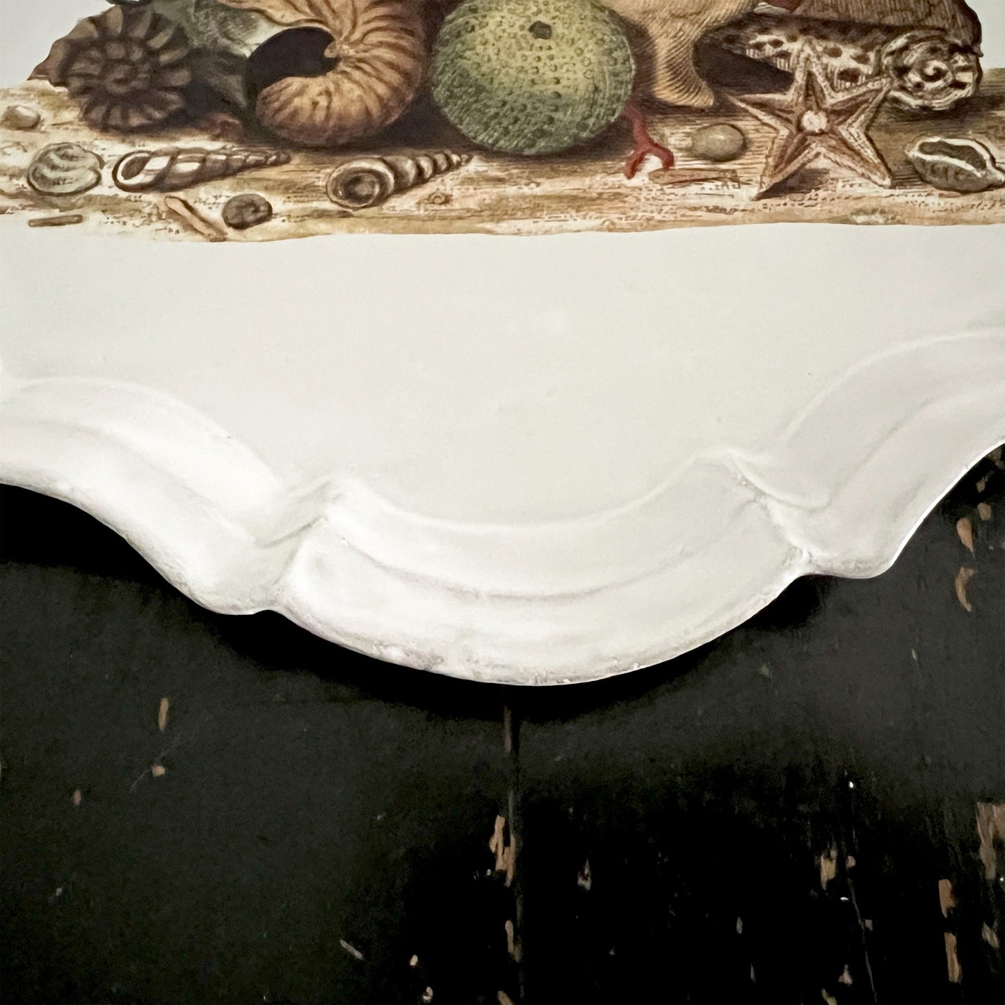 【Astier de Villatte】Shells 1754 Platter