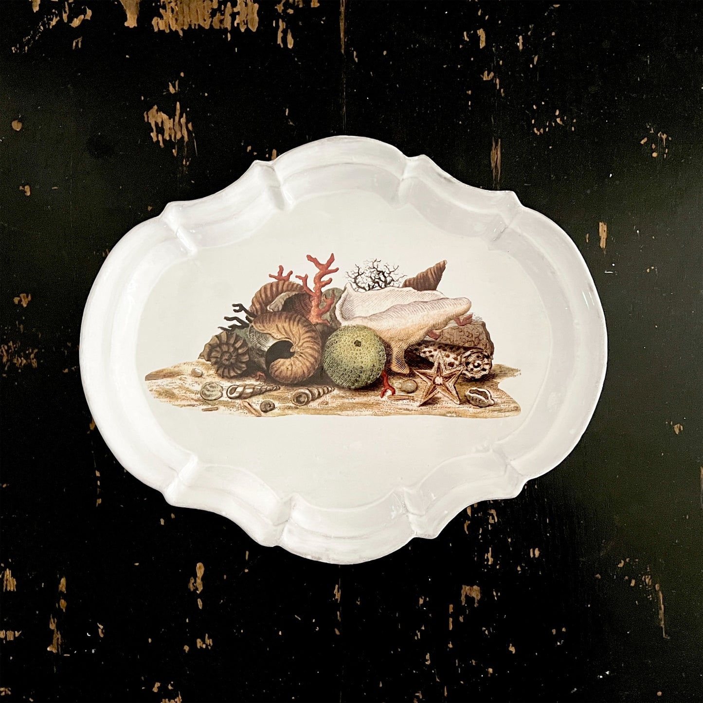 【Astier de Villatte】Shells 1754 Platter