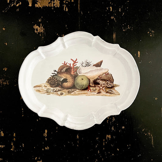 【Astier de Villatte】Shells 1754 Platter