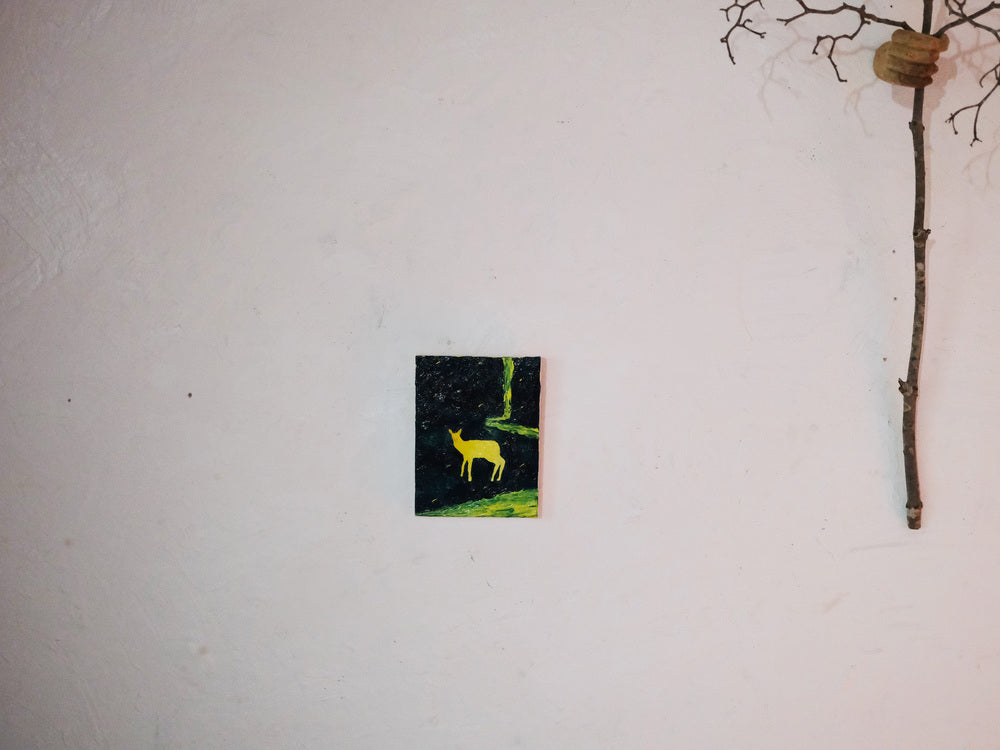 【時任海斗】TinyLightatCarbonForest Pt.1