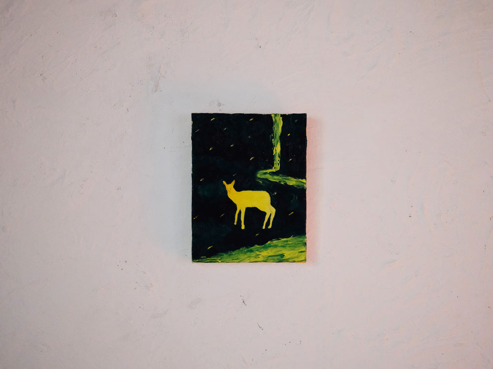 【時任海斗】TinyLightatCarbonForest Pt.1