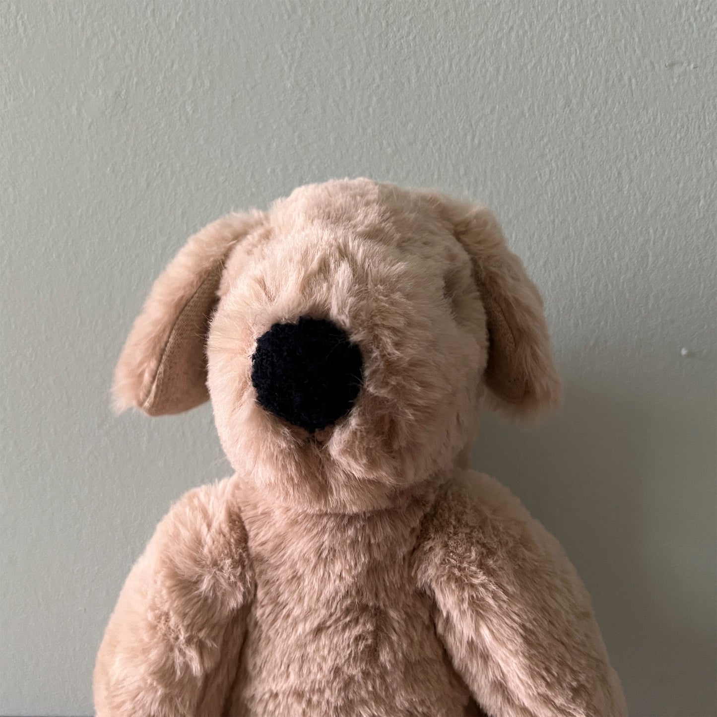 【AYUKO HAZU】Dog M 5