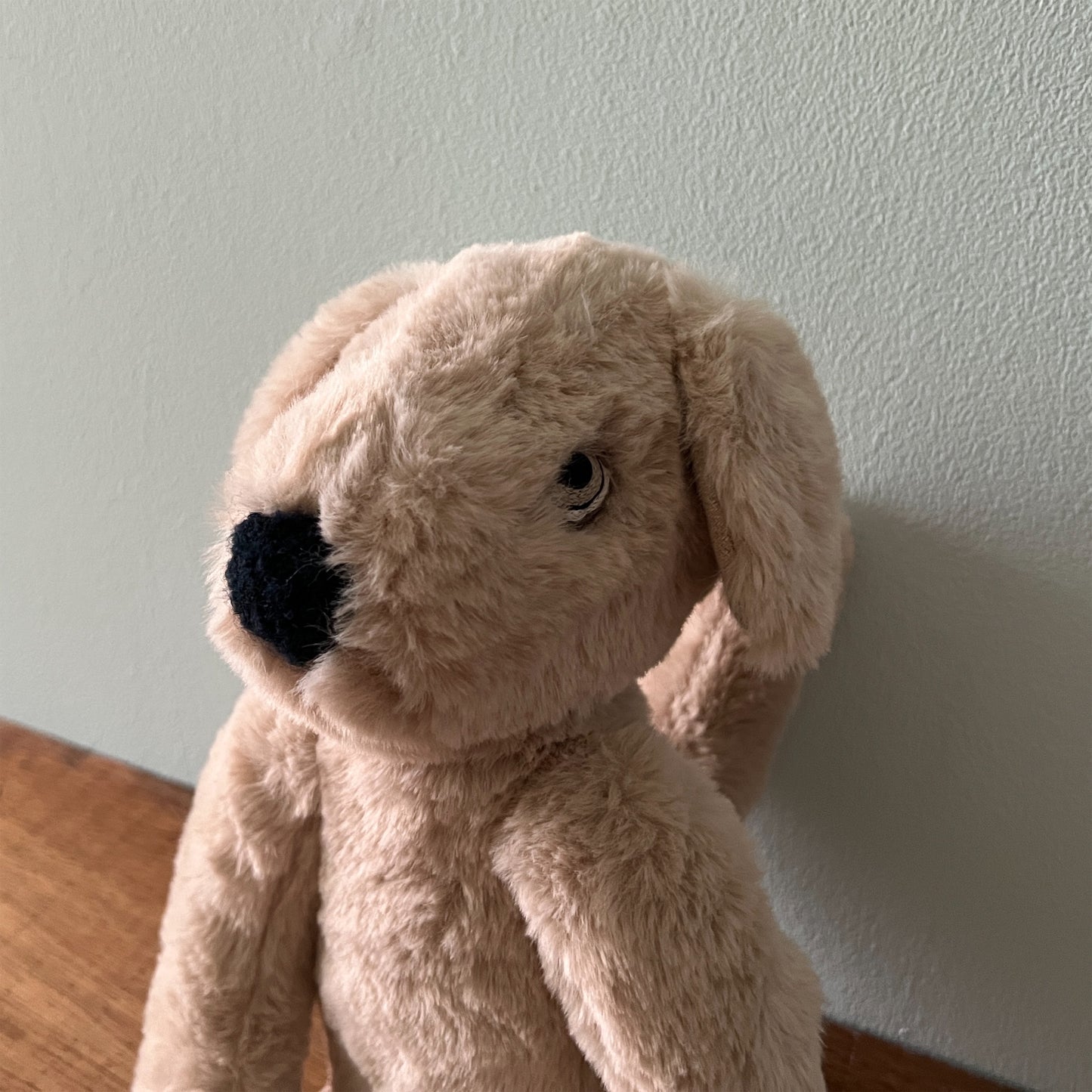 【AYUKO HAZU】Dog M 5