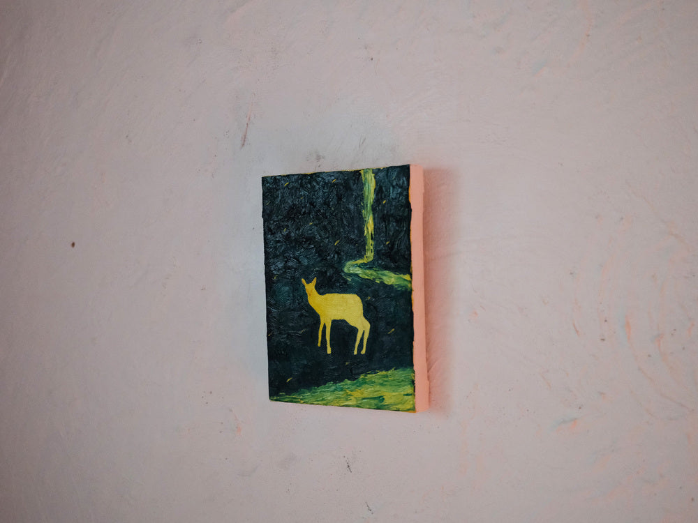【時任海斗】TinyLightatCarbonForest Pt.1