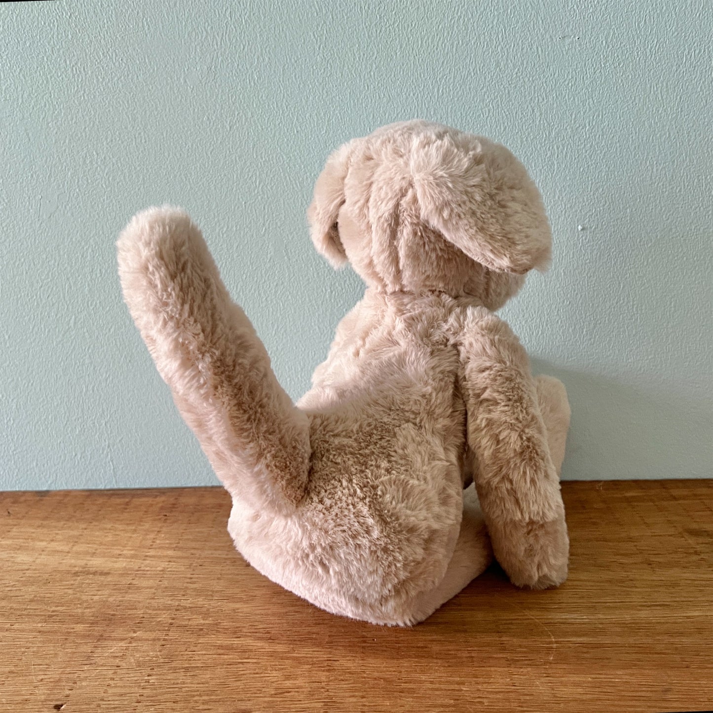 【AYUKO HAZU】Dog M 5