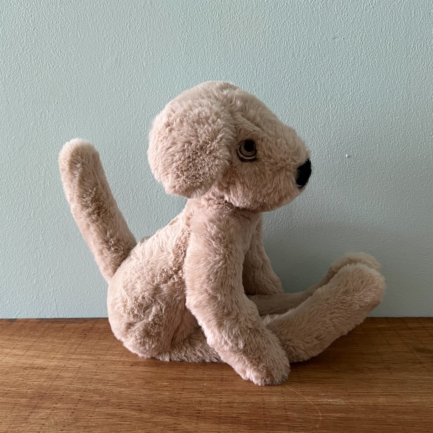 【AYUKO HAZU】Dog M 5