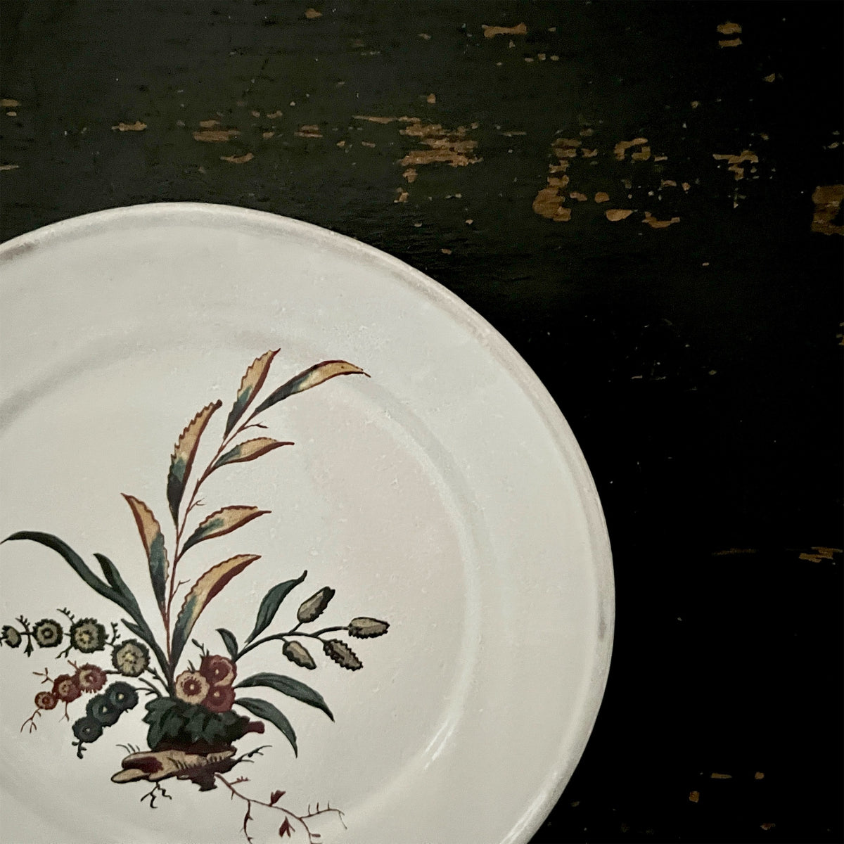 【Astier de Villatte】Small Bearberry Plate