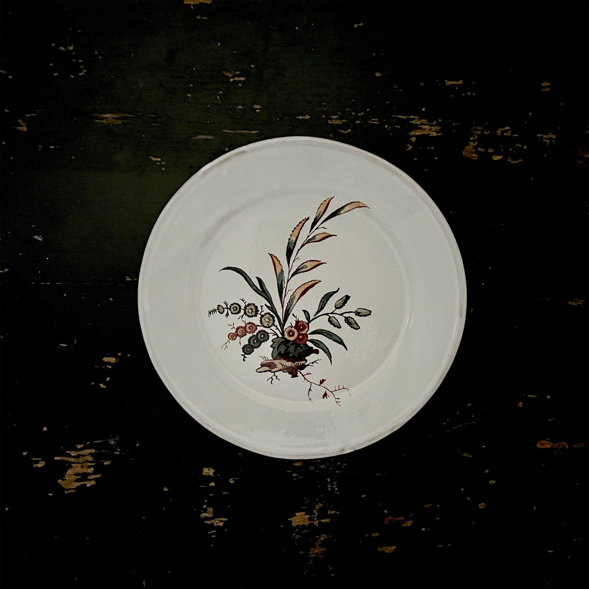 【Astier de Villatte】Small Bearberry Plate