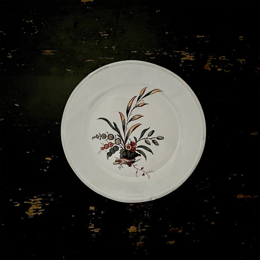 【Astier de Villatte】Small Bearberry Plate