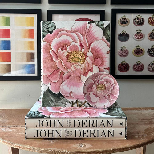 JOHN DERIAN】ピクチャーブック Picture Book II / signed | フィール