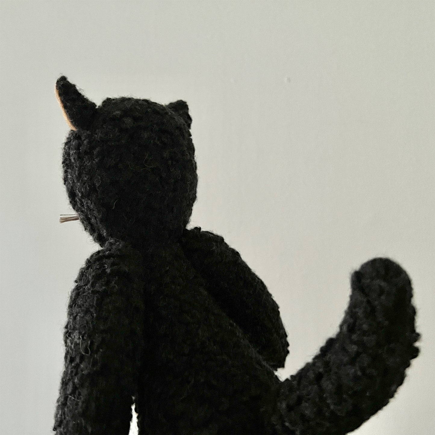 【AYUKO HAZU】Cat S  1