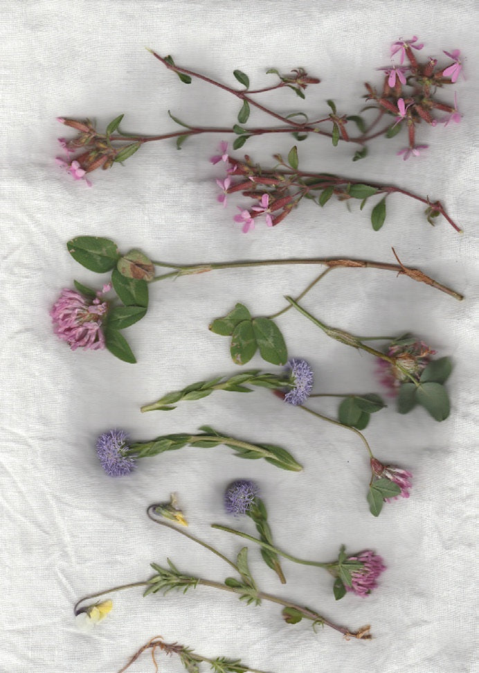 【Colomba Leddi】MULTICOVER_LINEN_light april