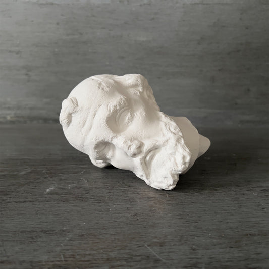 【La Soufflerie】石こうオブジェ Moine Head