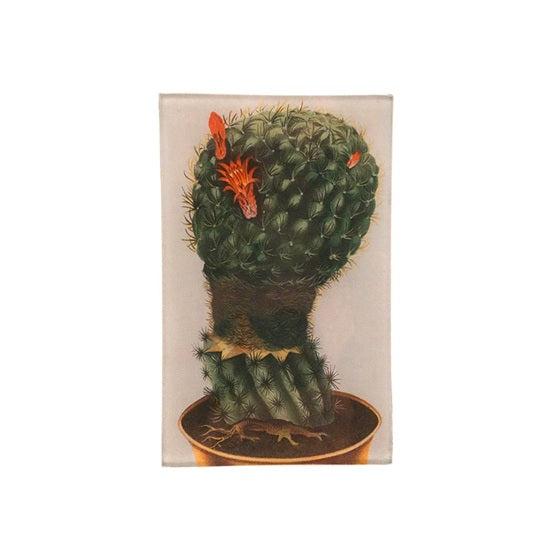 【JOHN DERIAN】デコパージュプレートCactus Flower
