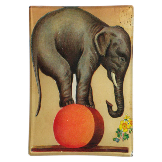 【JOHN DERIAN】デコパージュプレート Circus Elephant Mini-Tray