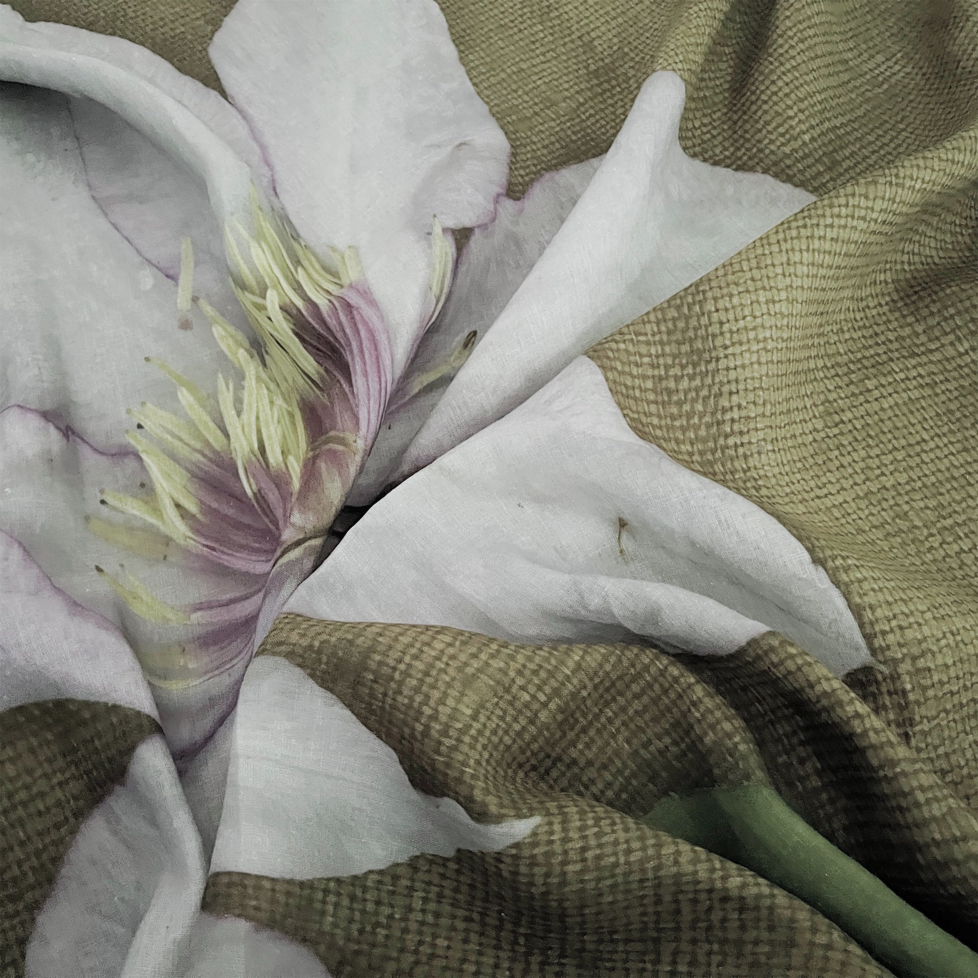 【colomba ledddi】Multicover_Linen_Clemantis