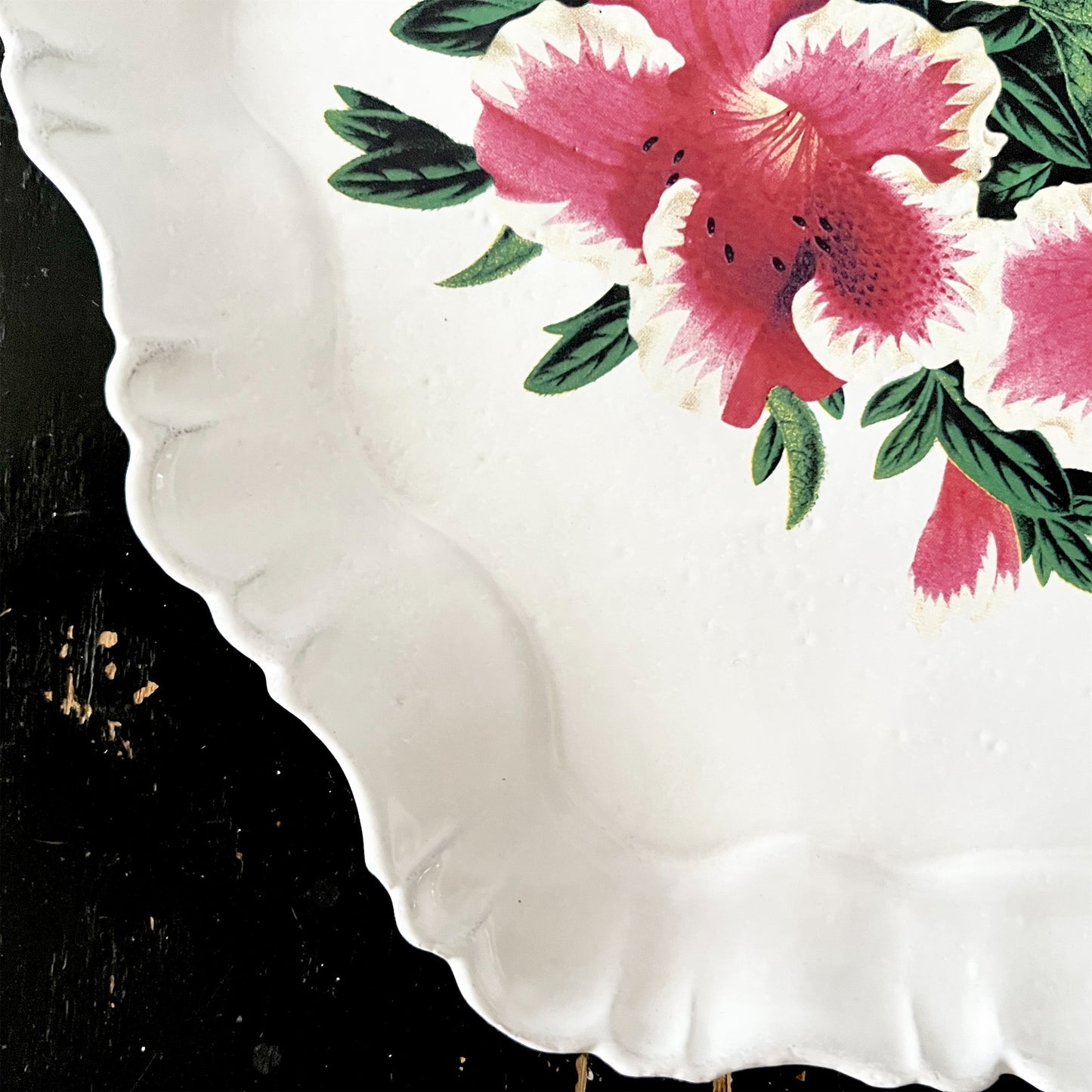 【Astier de Villatte】John  Azalea Indica 158 プレート