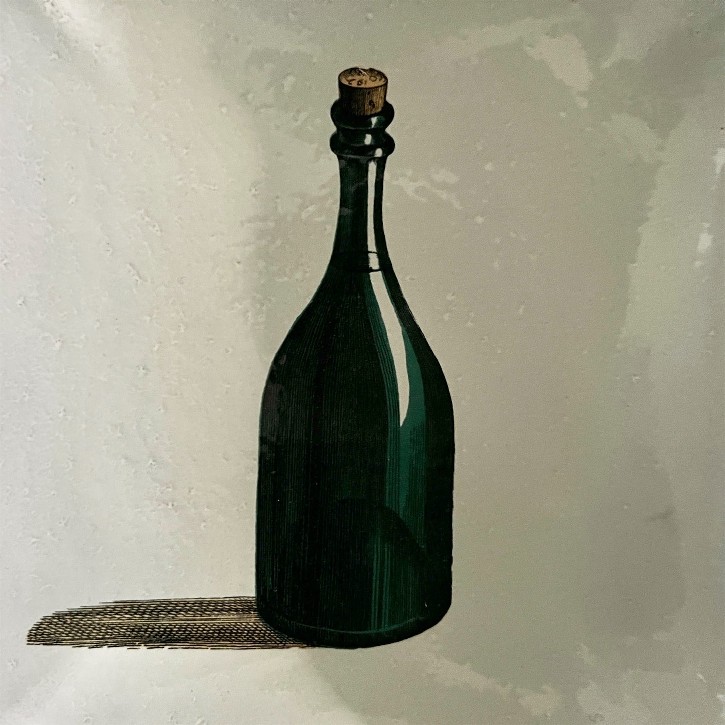 【Astier de Villatte】Green Bottle Soup Plate