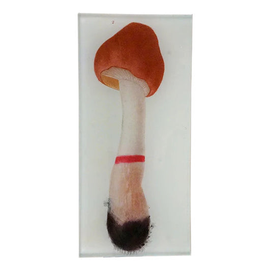 【JOHN DERIAN】デコパージュプレート Mushroom Fig. 2_3T