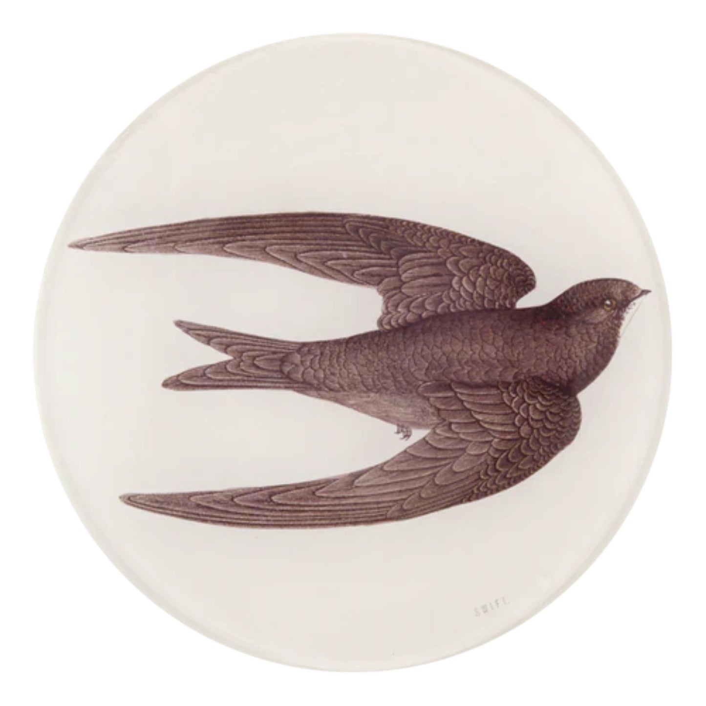 【JOHN DERIAN】デコパージュプレート Swift Bird (Swallow)_5R