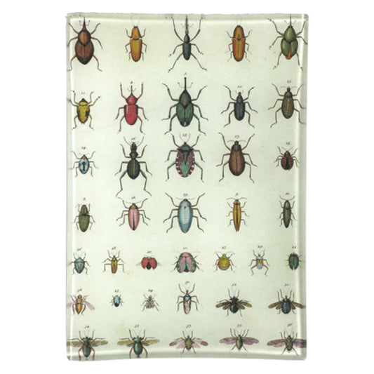 【JOHN DERIAN】デコパージュプレート Torn Insects Mini-Tray